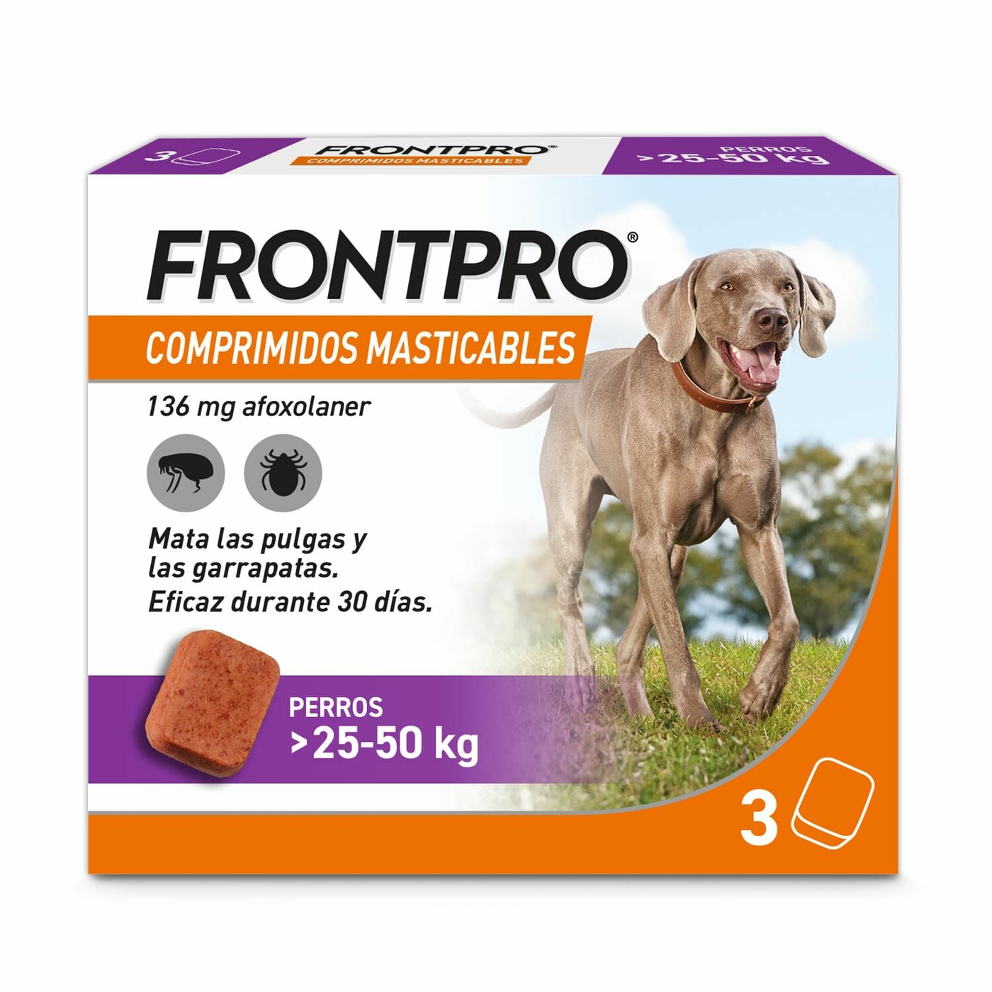 Frontpro