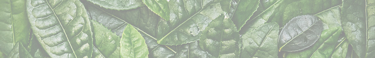 Best Selling Korean Beauty Products