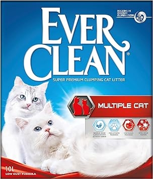 Ever Clean