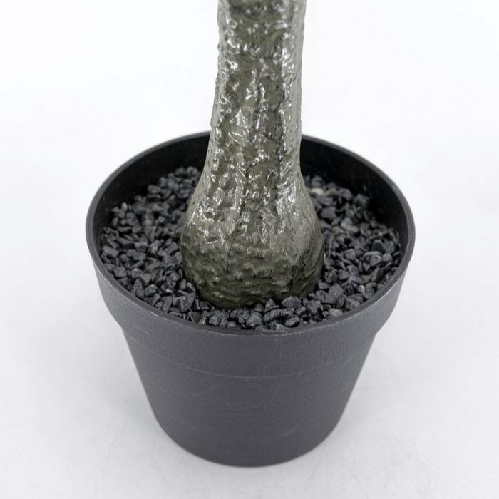 UN-REAL Hedge & Plants