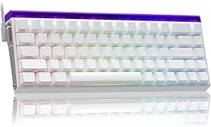 AULA HERO 68 Mechanical Gaming Keyboard,Hall Effect Magnetic Switch,0.01mm Adjustable Actuation Rapid Trigger,8K Polling Rate,Five-Layer Padding,Hot-Swap,RGB,Side Print,60% Wired Keyboard (White) : Amazon.co.uk: PC & Video Games