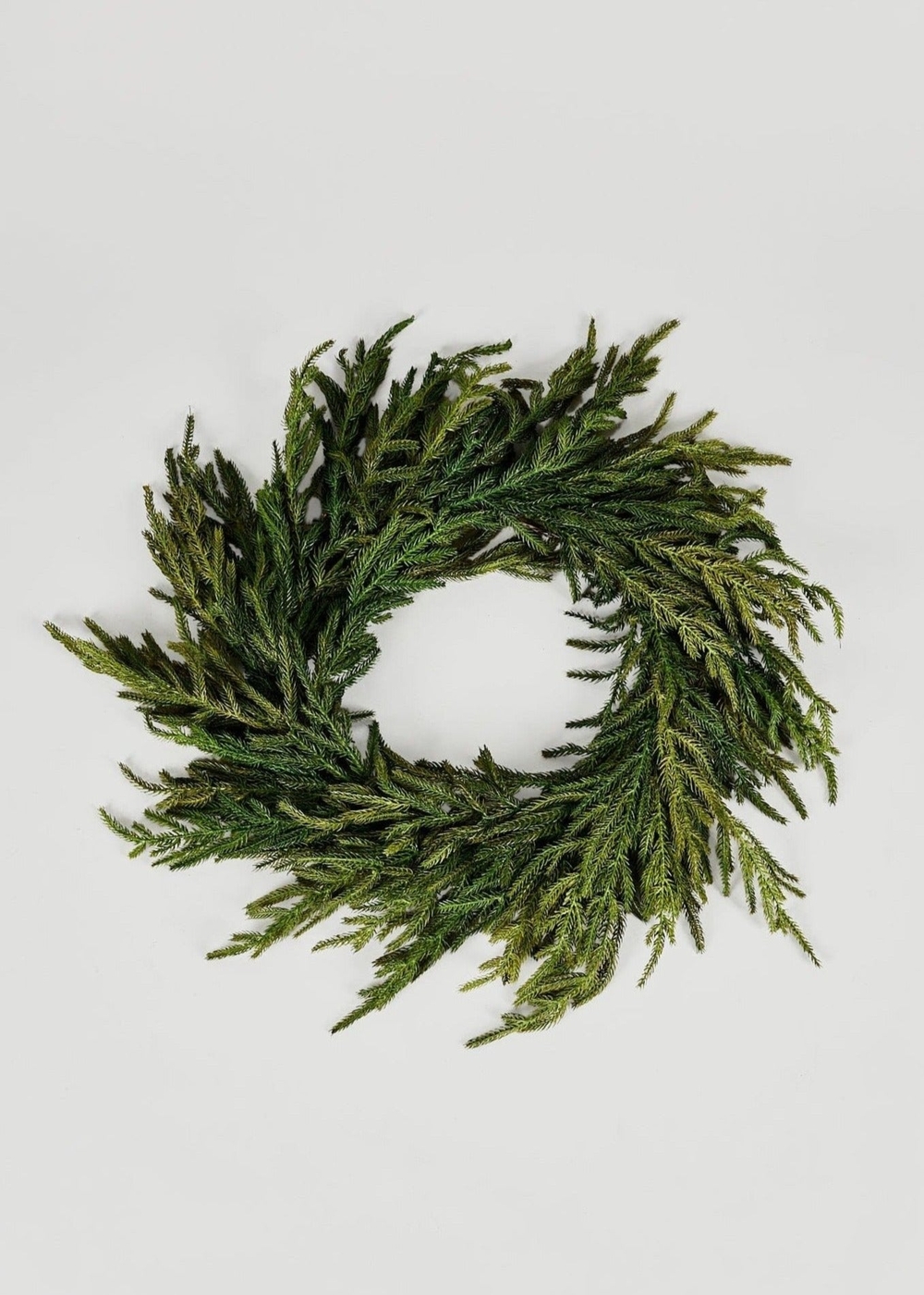 Afloral™ Real Touch Norfolk Pine Wreath - 24"