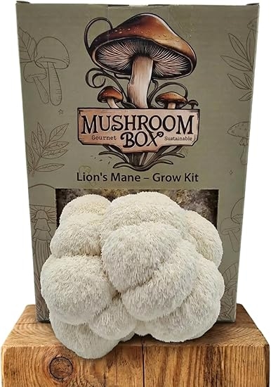 Lions Mane Mushroom Grow Kit (Hericium erinaceus) - | Grow Your own |Fresh Mushrooms | Delicious with Soy Sauce | Lions Mane Supplement | Nutrition Geeks |1.8KG