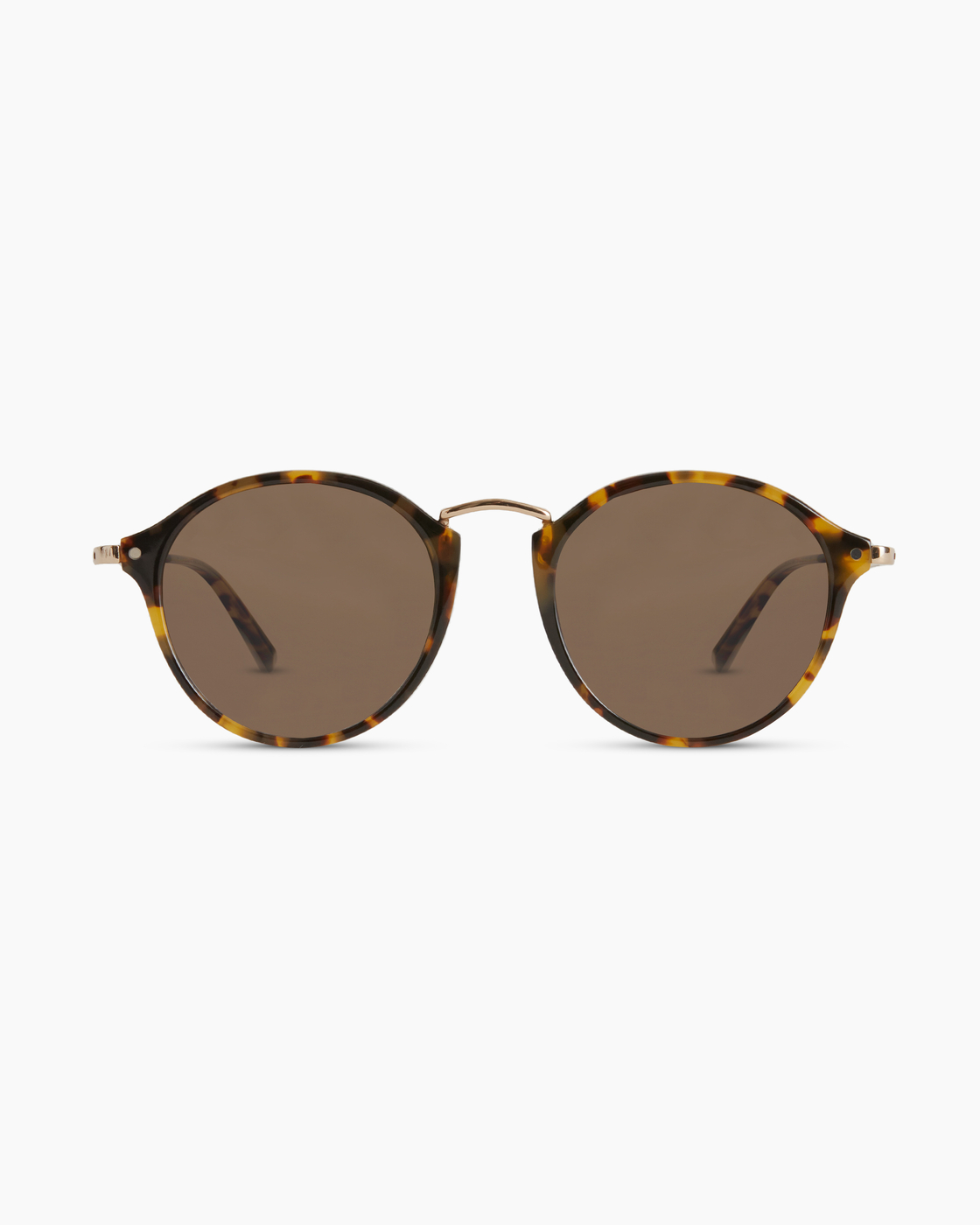 Ryder Polarized Acetate Sunglasses in Black with Grey lens
