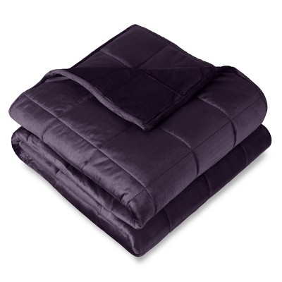 Minky Fleece Weighted Blanket by Bare Home - 10 lb 40