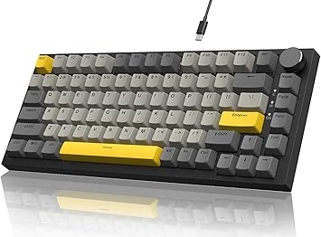 YINDIAO Ajazz AK820 Mechanisch Toetsenbord met Knop,75% ANSI-Indeling,81 Toetsen Bedraad Gamingtoetsenbord,5 Geluidsabsorberend Schuim,Hot-Swapp,Lineaire Schakelaar,RGB-Licht,voor PC,MAC (Grijs)